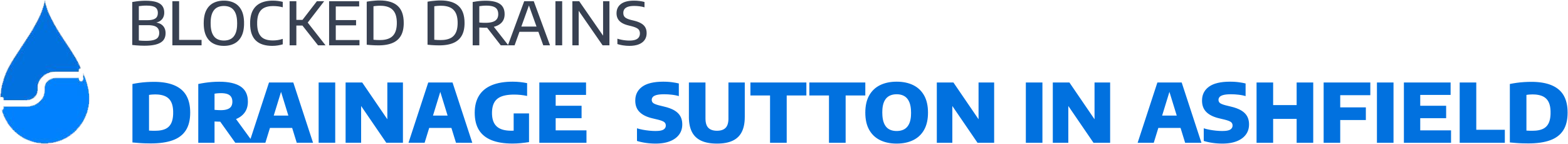 website logo